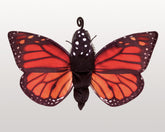 Folkmanis Monarch Butterfly Lifecycle Puppet